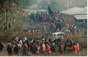 Mapuches