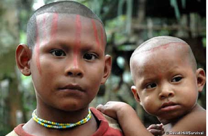Genocidio en curso: los pueblos indígenas y la transnacionalización de la naturaleza