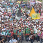 moviagro
