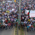 moviagro2