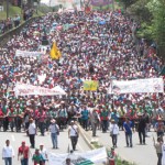 moviagro4