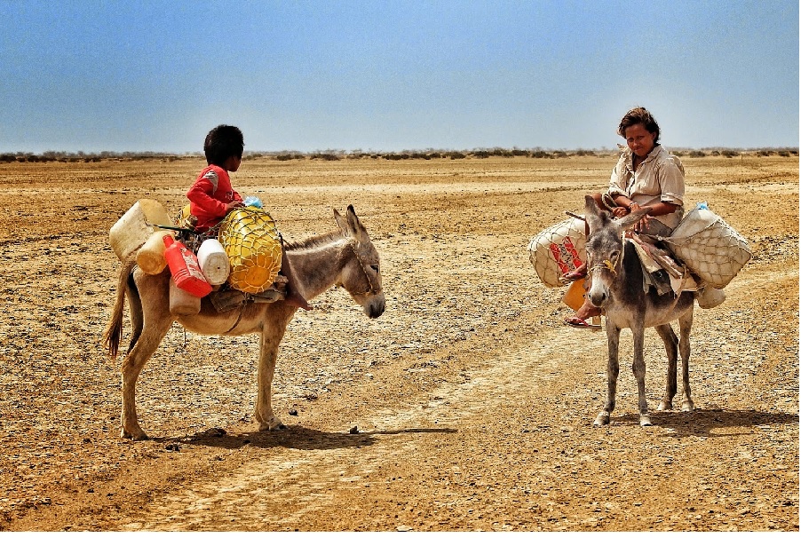 Indiferencia e incompetencia, nuestra hambre y sed