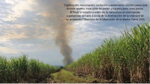 Liberacion_MadreTierra_Norte_1