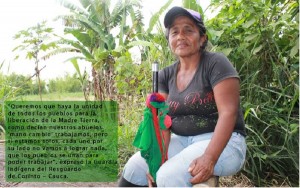 Liberacion_MadreTierra_Norte_8