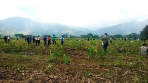 Asesinato_Guardia_Zona_Norte_3