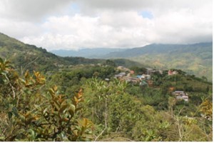 Zona_Occidente_Morales_1