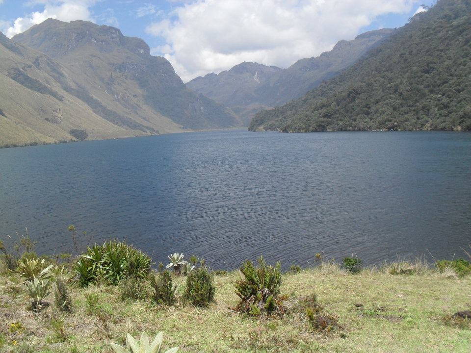 Comunidad Nasa del Resguardo de Pitayó realiza ejercicio de control territorial frente a la Peste (COVID-19)