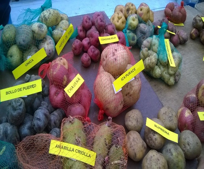 productos.region