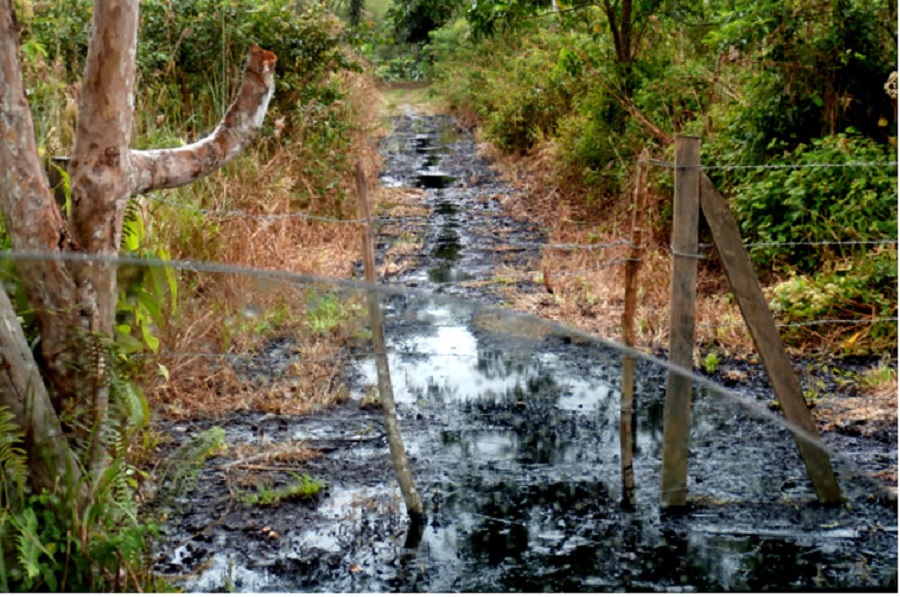Empresas Petroleras son las responsables del daño ambiental en Putumayo