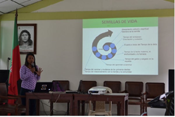 Educación_Propia_3