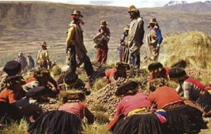 Inti_Raimi_Peru