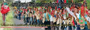 Junta_CRIC
