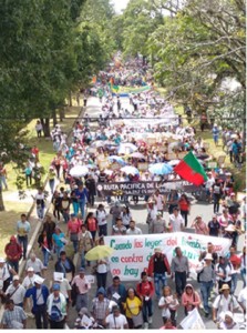 Movilizacion_Paz_Cauca_2