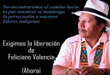 Acción Urgente por la libertad de Feliciano Valencia