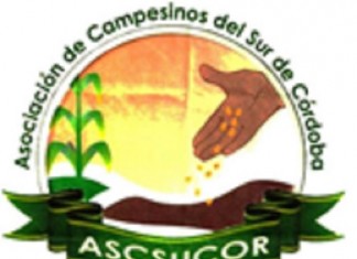 A la Comunidad Nacional e Internacional