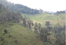 Fuera Anglo Gold Ashanti de Cajamarca