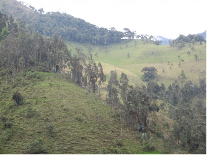 Cajamarca_Tolima