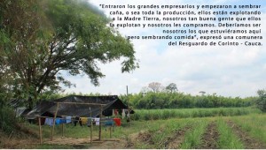 Liberacion_Madre_Tierra_Norte_2