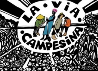 Carta Abierta de Solidaridad con Colombia