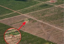 “Lo vamos a Matar”: La vida de un activista indígena corre peligro luego de oponerse a la destrucción de la Amazonía Peruana