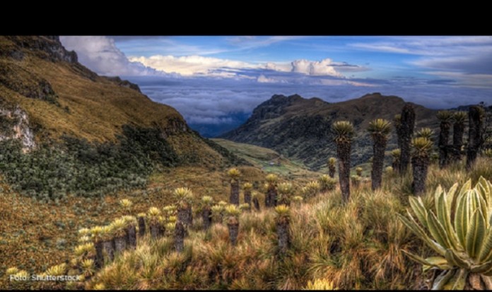 Paramos_Colombia_1