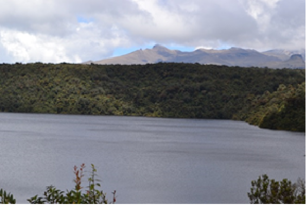 laguna