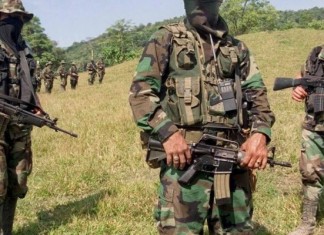 5 Campesinos Asesinados por Paramilitares en el Bajo Atrato Chocoano