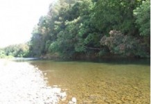Chile/Araucanía: Lucha por la defensa del río Renaico