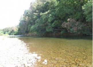 Chile/Araucanía: Lucha por la defensa del río Renaico