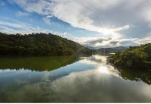 La biodiversidad, otra gran perdedora con la venta de Isagén
