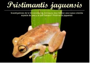 Reserva_ISAGEN_2