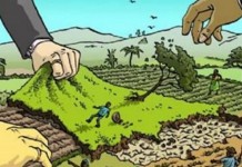 Zidres Legalizan el Acaparamiento de Tierras en Casanare
