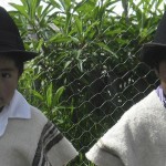 banner niños Totoro
