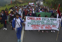 Cabildos Escolares Indígenas Compartieron Experiencias Pedagogicas en los 45 años del CRIC Conmemoración 45 años del Consejo Regional Indígena del Cauca CRIC