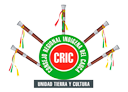 logo-CRIC-pequeño-sin-fondo