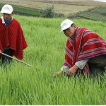 Agro_Ecuador_CONAIE