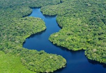 Cuidar los Bosques es Cuidar el Agua de América Latina y el Caribe