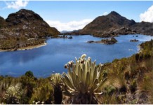 Multinacionales demandan a Colombia por Impedir Minería en Páramos y Zonas Protegidas
