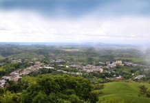 Alerta Temprana
