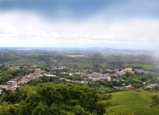 Alerta Temprana