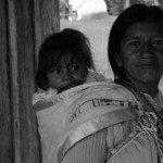 banner21