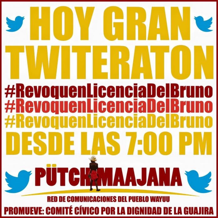 Campaña_Arrollo_Bruno