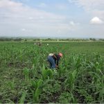 Liberacion_Madre_Tierra_Corinto_2