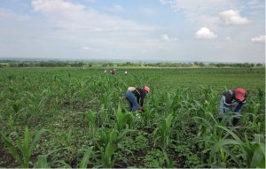 Liberacion_Madre_Tierra_Corinto_2