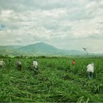 Liberacion_Madre_Tierra_Corinto_3