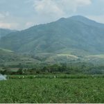 Liberacion_Madre_Tierra_Corinto_5