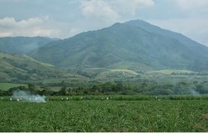 Liberacion_Madre_Tierra_Corinto_5