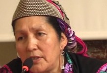 Allanan ilegalmente casa de lonko Juana Calfunao en Los Laureles