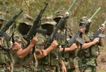 Población civil del Chocó acosada y desprotegida en medio de constantes paros armados