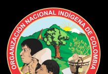 SOS Un asesinado por uso excesivo de la fuerza pública del ESMAD en La Delfina – Valle del Cauca: Minga Nacional